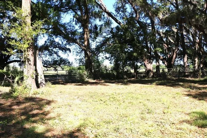 CR 48 Bushnell, FL 33513