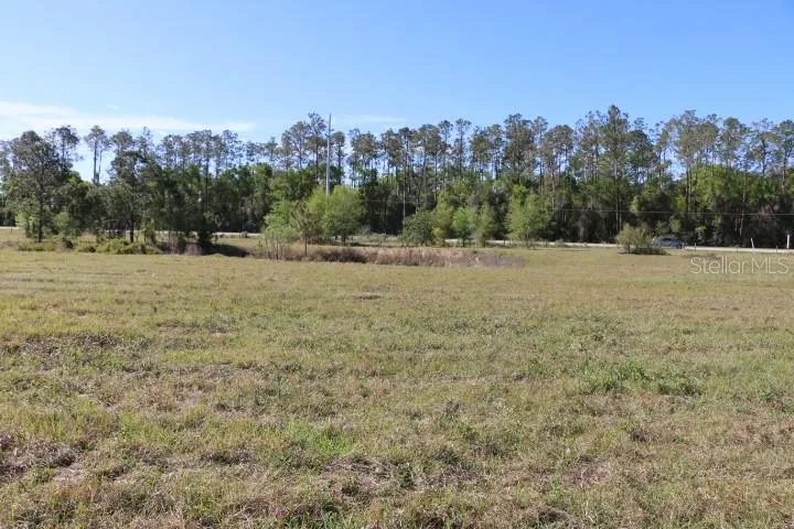 CR 48 Bushnell, FL 33513