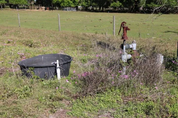CR 48 Bushnell, FL 33513