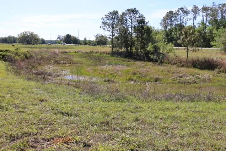 CR 48 Bushnell, FL 33513
