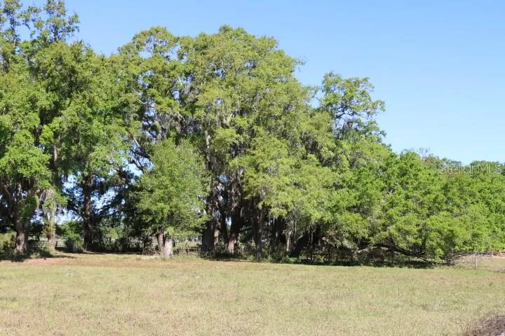 CR 48 Bushnell, FL 33513