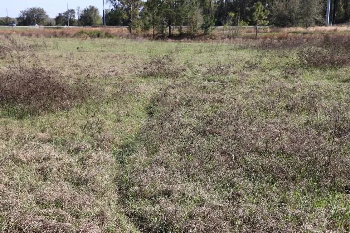 CR 48 Bushnell, FL 33513