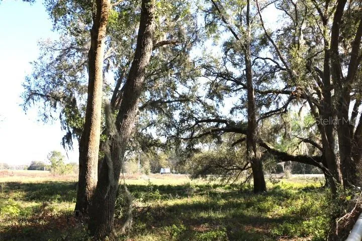 CR 48 Bushnell, FL 33513