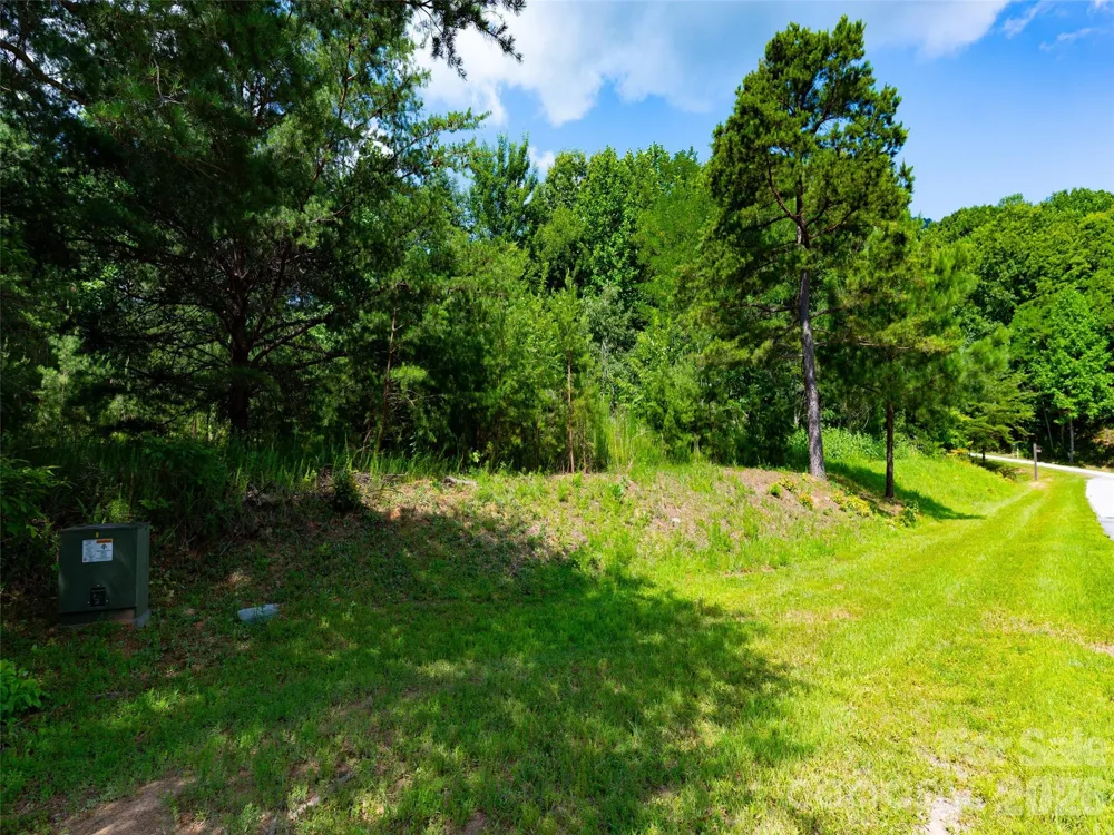 142 Elkton Court Mill Spring, NC 28756