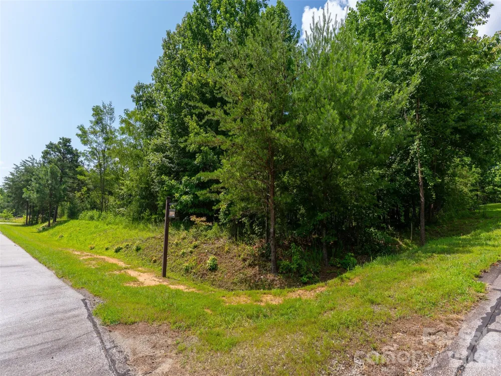 142 Elkton Court Mill Spring, NC 28756