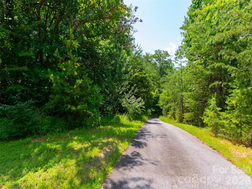 142 Elkton Court Mill Spring, NC 28756