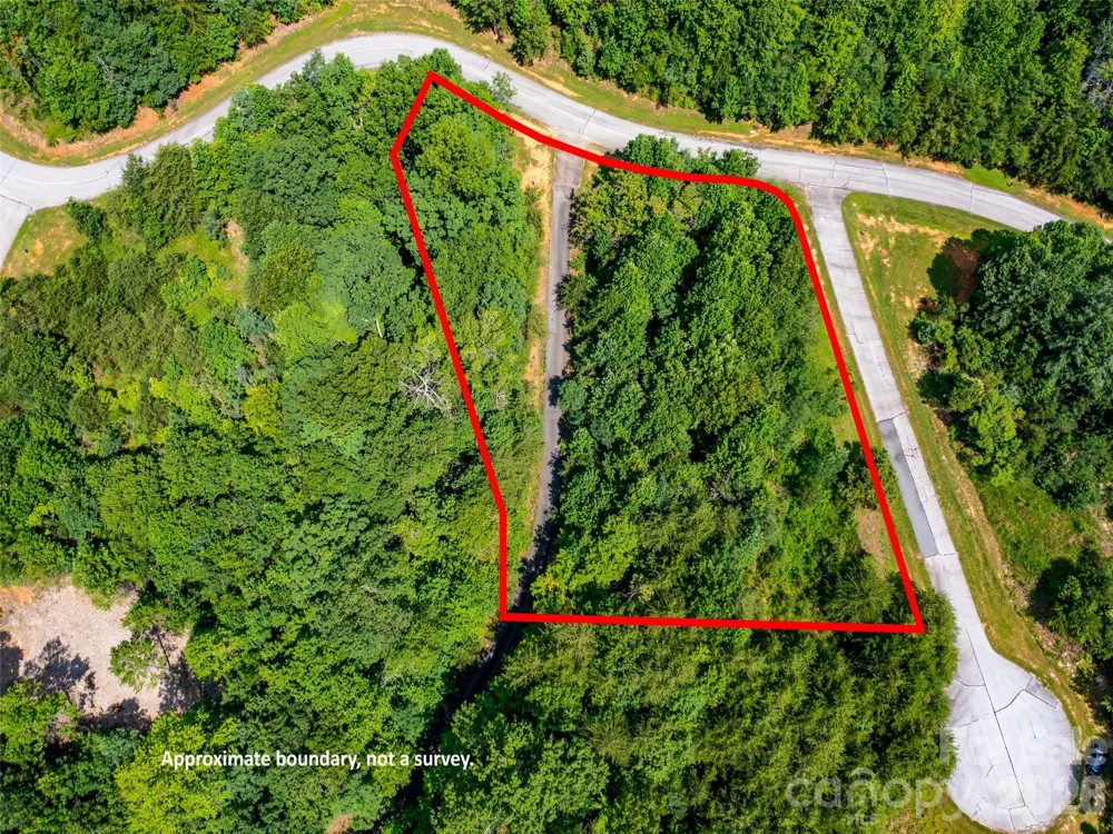 142 Elkton Court Mill Spring, NC 28756