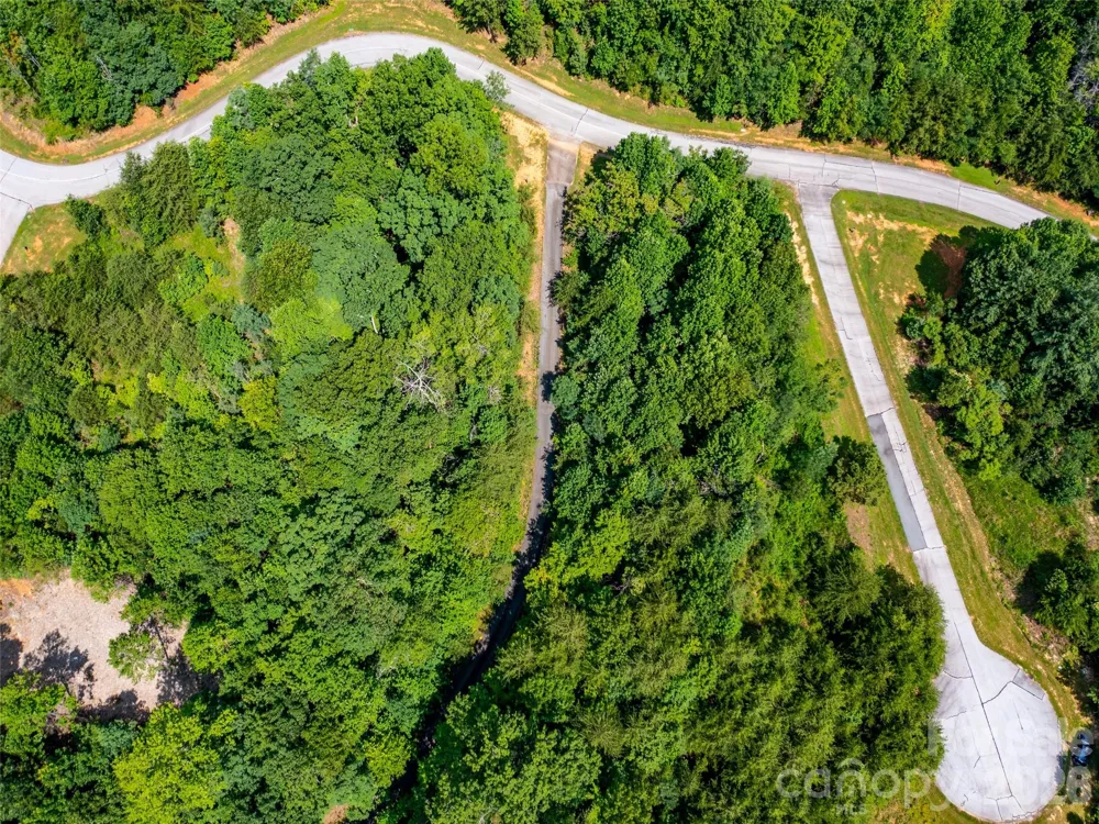 142 Elkton Court Mill Spring, NC 28756