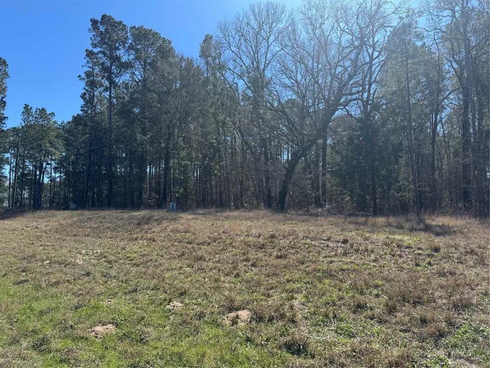 Us 190 Point Blank, TX 77364