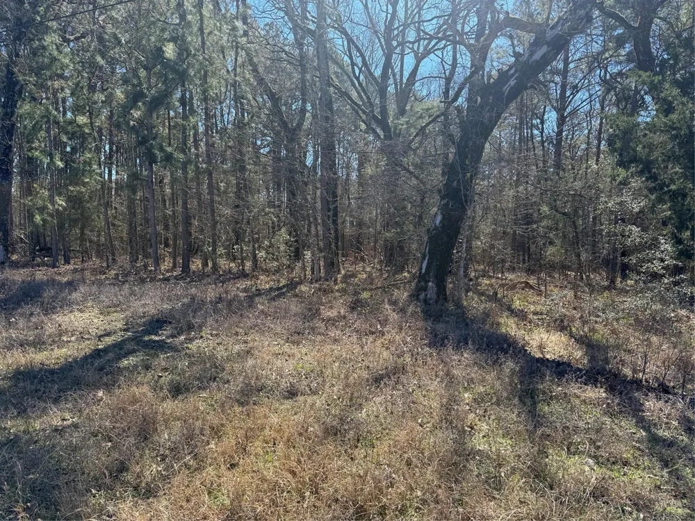 Us 190 Point Blank, TX 77364