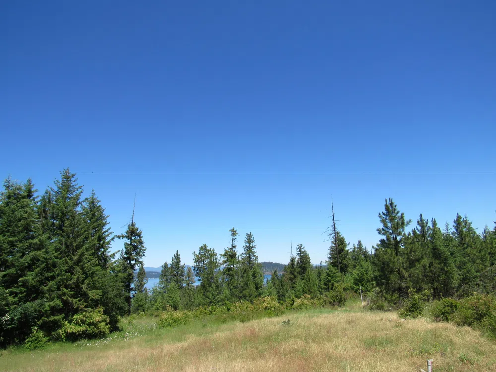 Lot 8 Mariposa Court Harrison, ID 83833