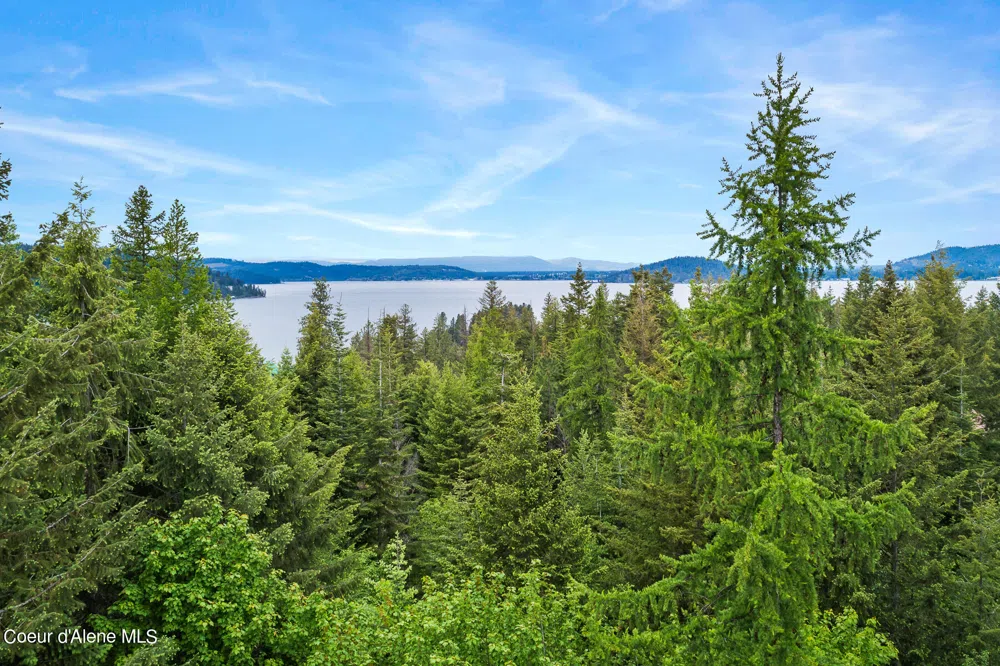 Lot 8 Mariposa Court Harrison, ID 83833