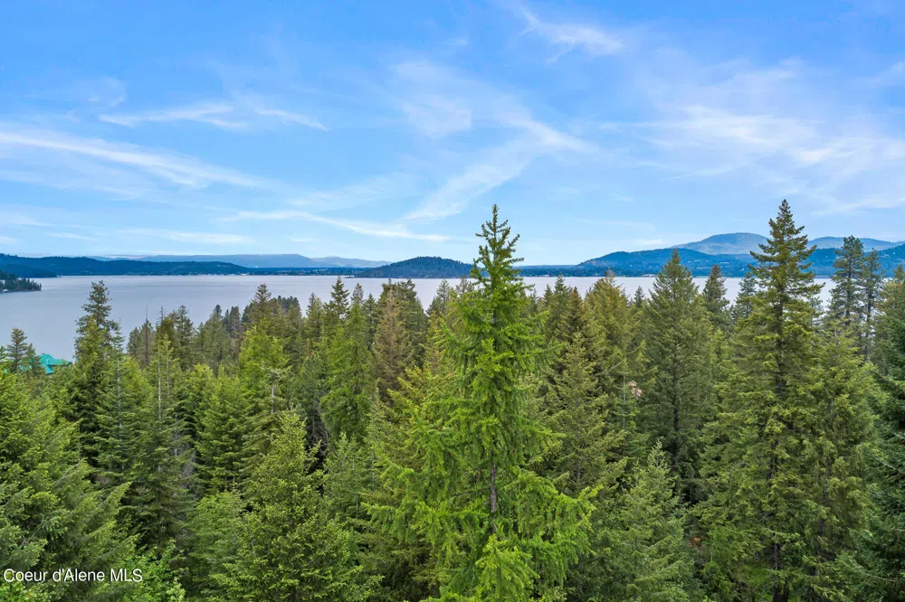 Lot 8 Mariposa Court Harrison, ID 83833