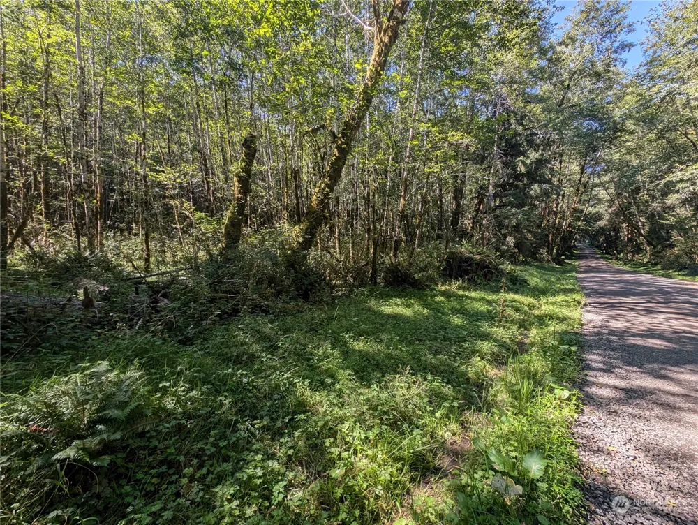 99993 Dowans Creek Road Forks, WA 98331