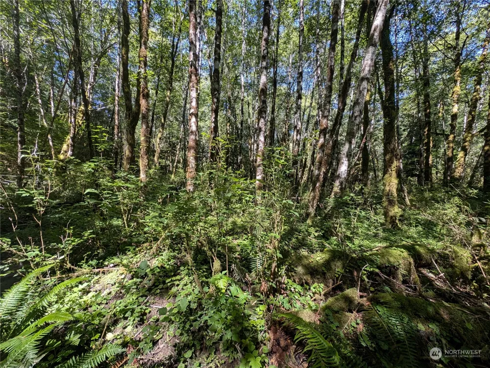 99993 Dowans Creek Road Forks, WA 98331