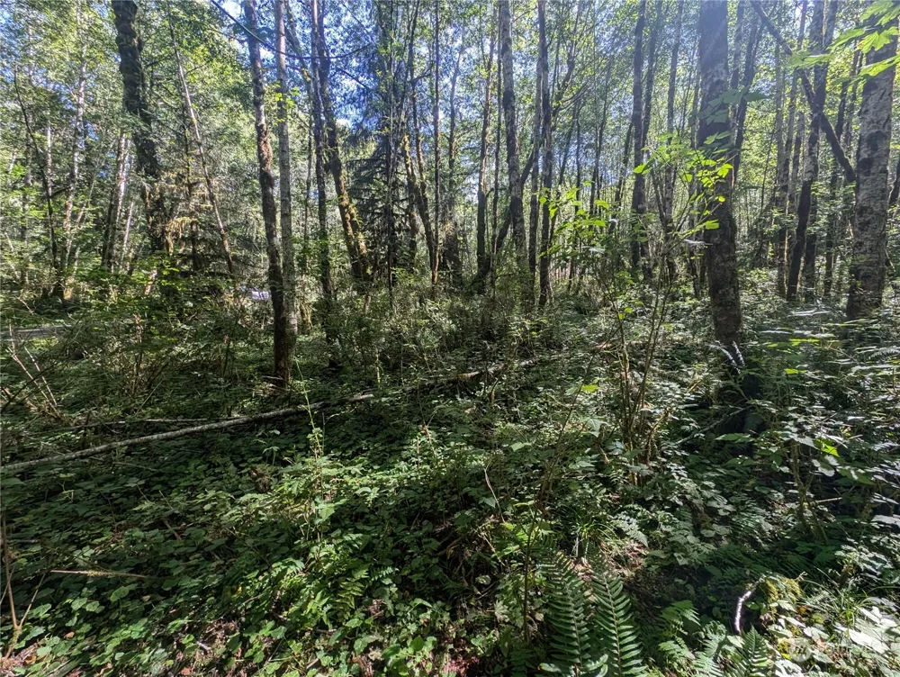 99993 Dowans Creek Road Forks, WA 98331