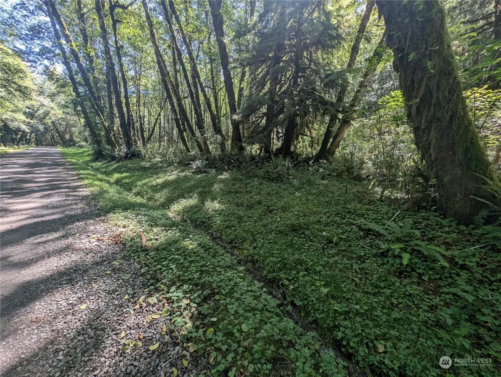 99993 Dowans Creek Road Forks, WA 98331