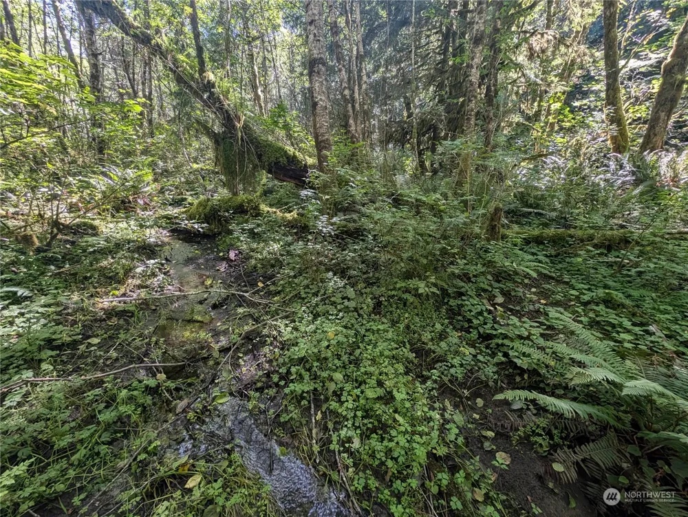 99993 Dowans Creek Road Forks, WA 98331