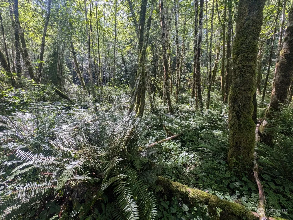 99993 Dowans Creek Road Forks, WA 98331