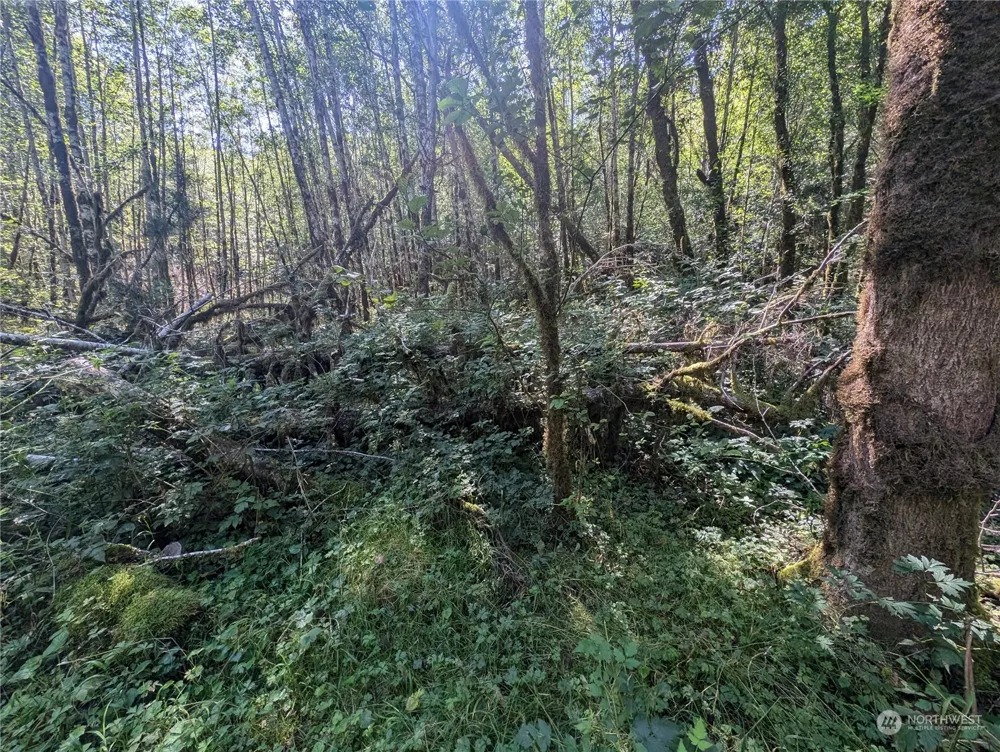 99993 Dowans Creek Road Forks, WA 98331