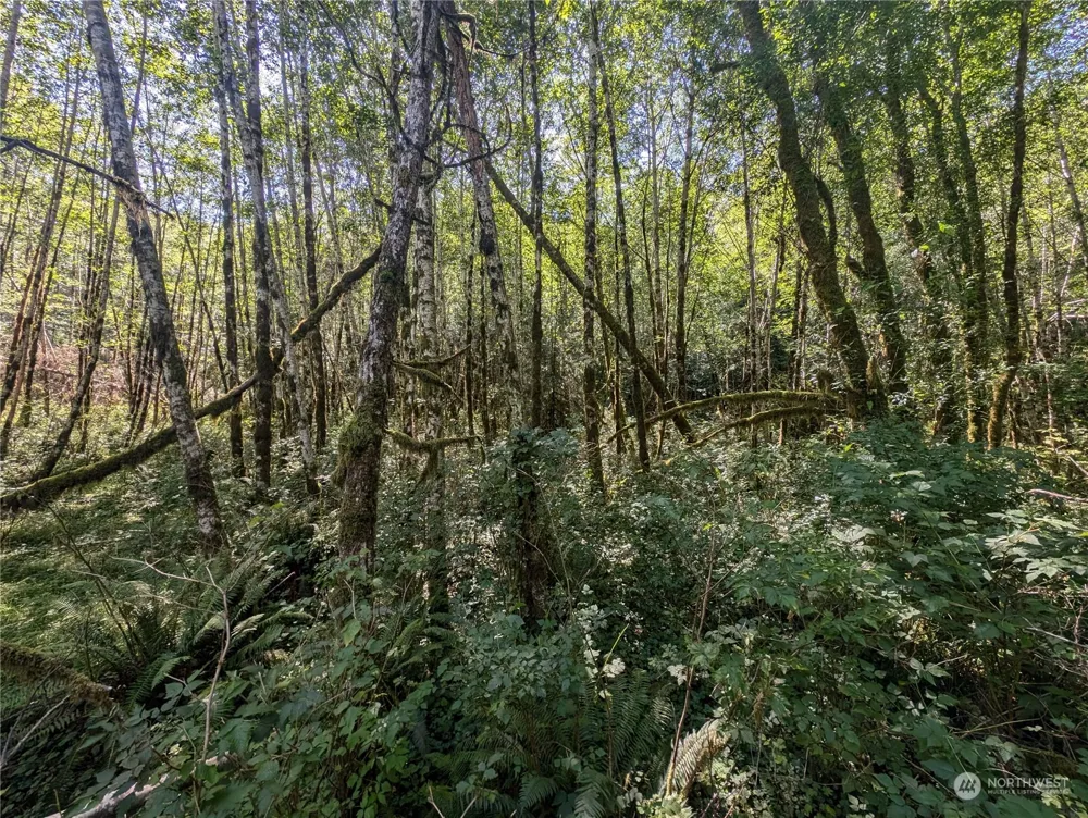 99993 Dowans Creek Road Forks, WA 98331