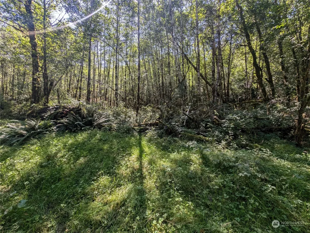 99993 Dowans Creek Road Forks, WA 98331