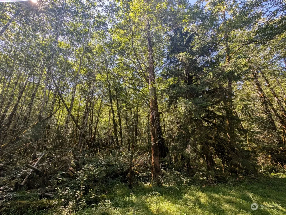 99993 Dowans Creek Road Forks, WA 98331