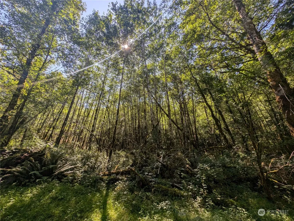 99993 Dowans Creek Road Forks, WA 98331
