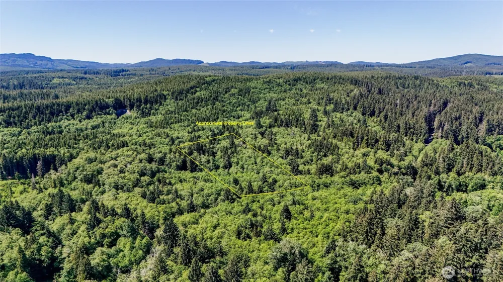 99993 Dowans Creek Road Forks, WA 98331
