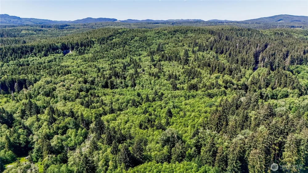 99993 Dowans Creek Road Forks, WA 98331