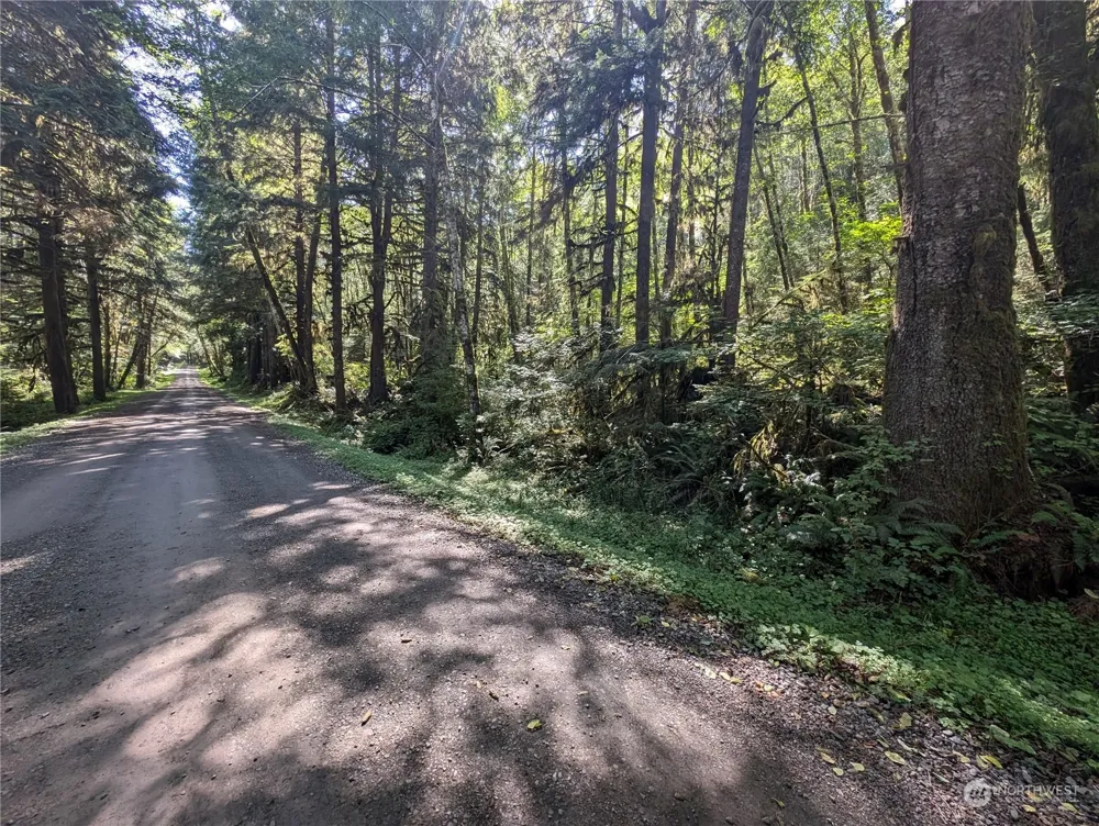 99992 Dowans Creek Road Forks, WA 98331