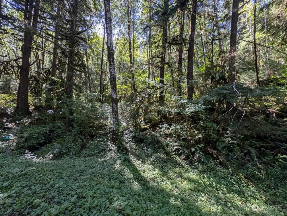 99992 Dowans Creek Road Forks, WA 98331