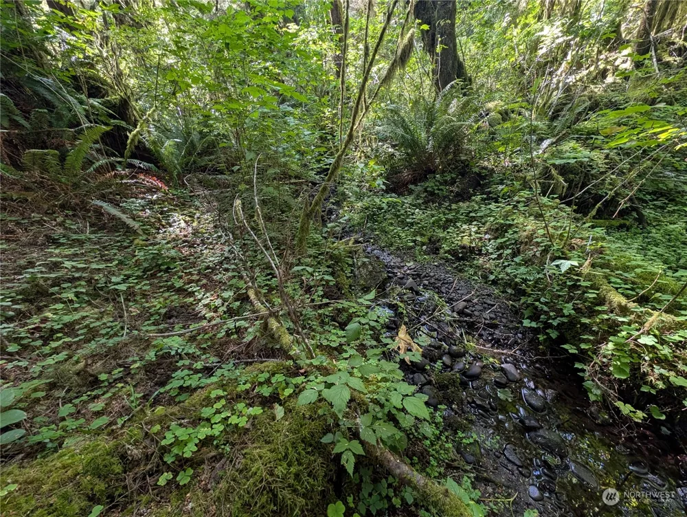 99992 Dowans Creek Road Forks, WA 98331