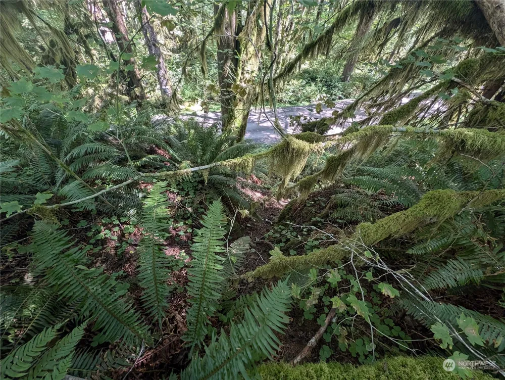 99992 Dowans Creek Road Forks, WA 98331