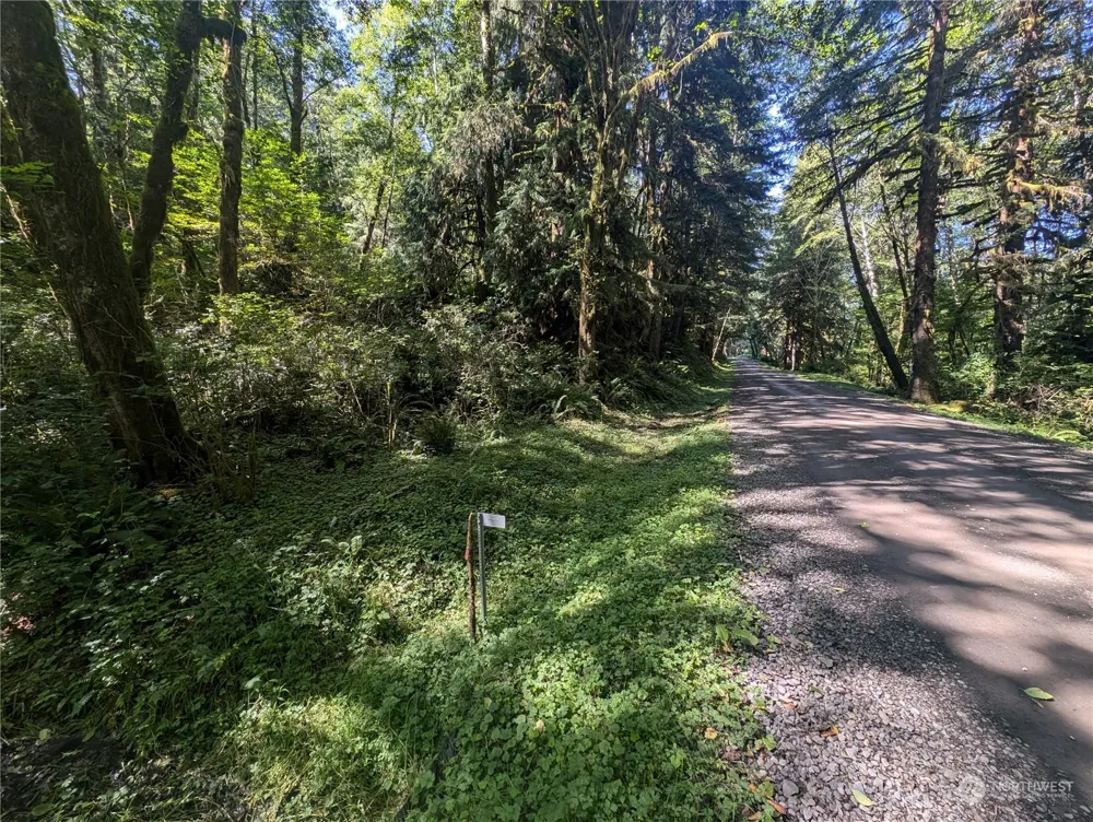 99992 Dowans Creek Road Forks, WA 98331