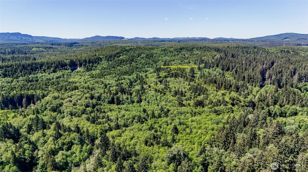 99992 Dowans Creek Road Forks, WA 98331