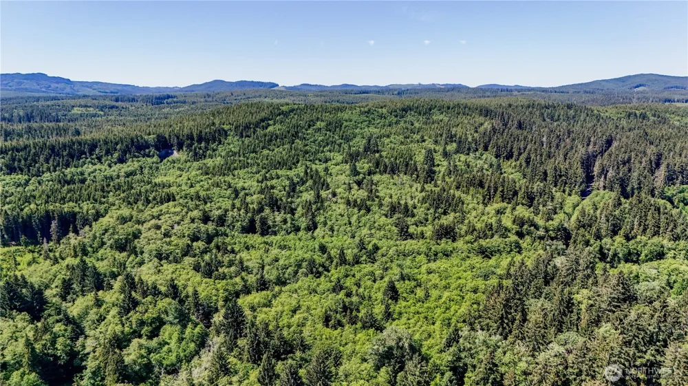 99992 Dowans Creek Road Forks, WA 98331