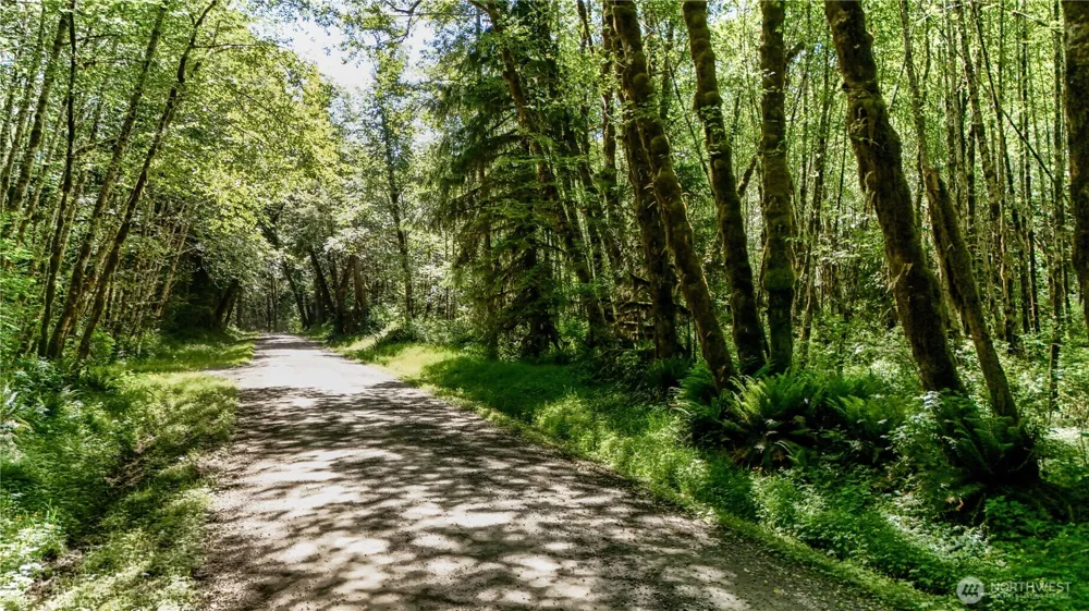 99992 Dowans Creek Road Forks, WA 98331