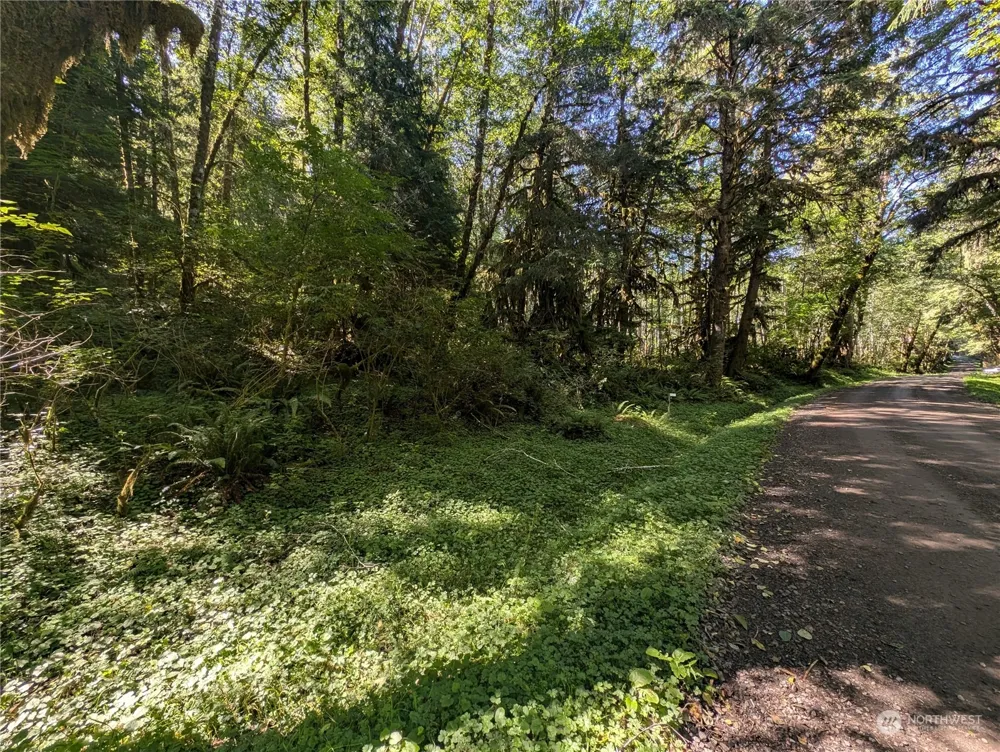 99994 Dowans Creek Road Forks, WA 98331