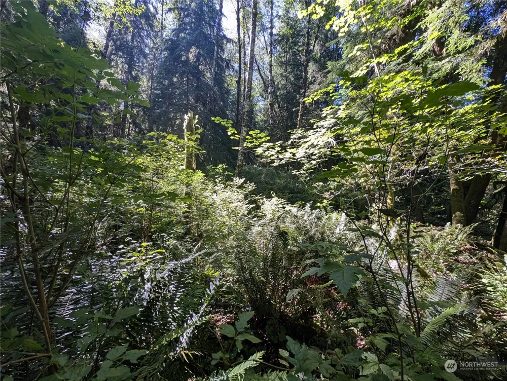 99994 Dowans Creek Road Forks, WA 98331