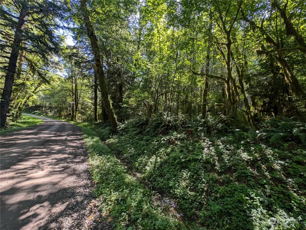 99994 Dowans Creek Road Forks, WA 98331