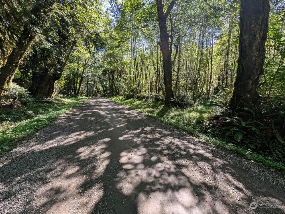 99994 Dowans Creek Road Forks, WA 98331