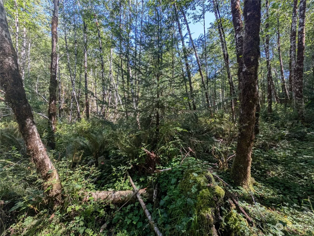 99994 Dowans Creek Road Forks, WA 98331