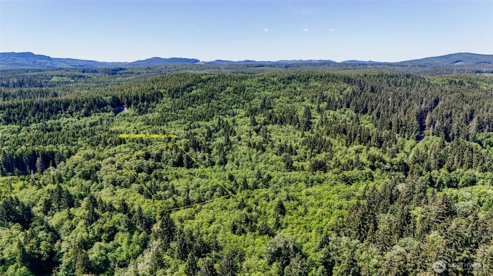 99994 Dowans Creek Road Forks, WA 98331