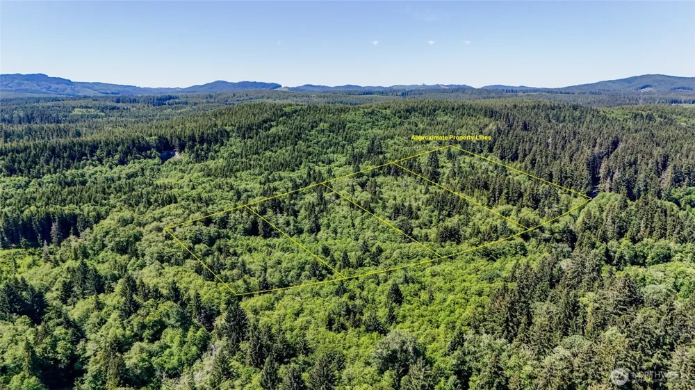 99994 Dowans Creek Road Forks, WA 98331