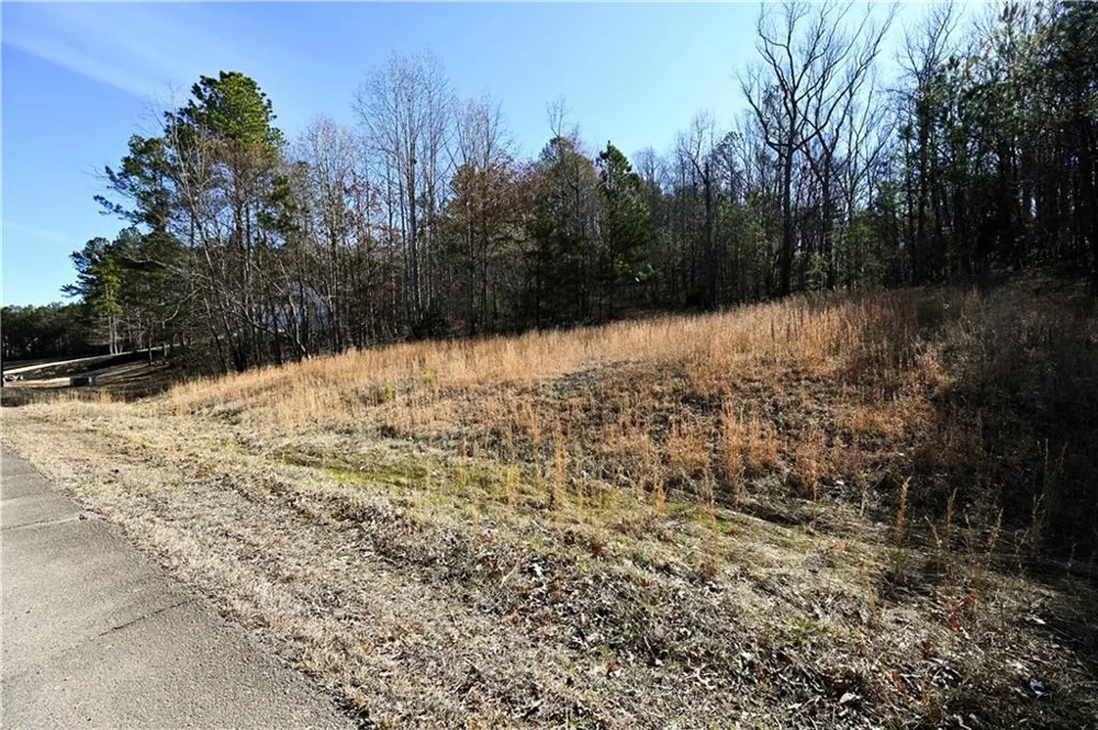 29 Saratoga Drive Rydal, GA 30171