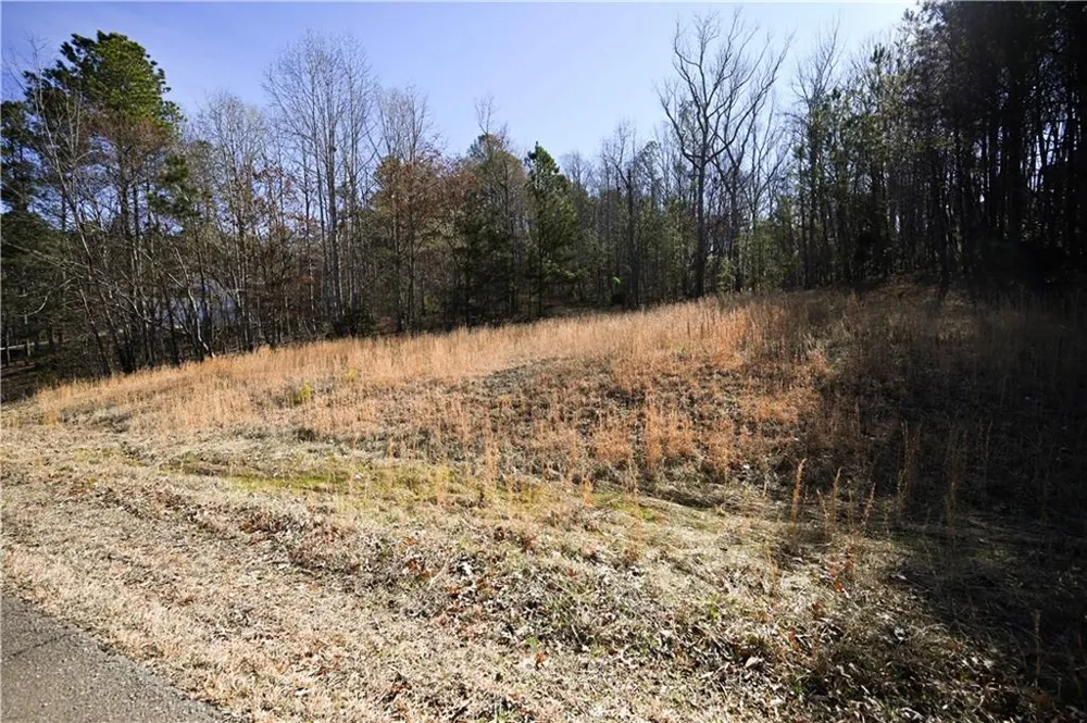 29 Saratoga Drive Rydal, GA 30171