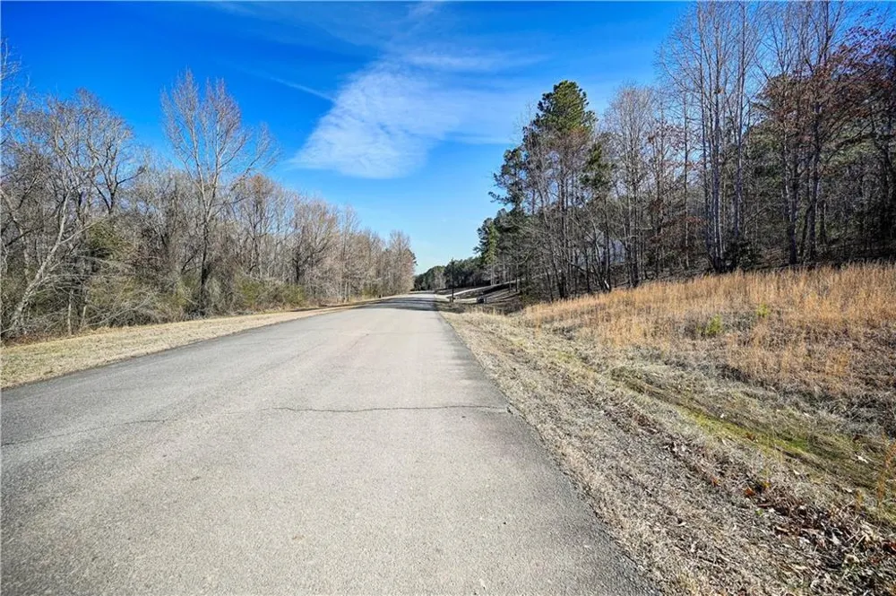 29 Saratoga Drive Rydal, GA 30171