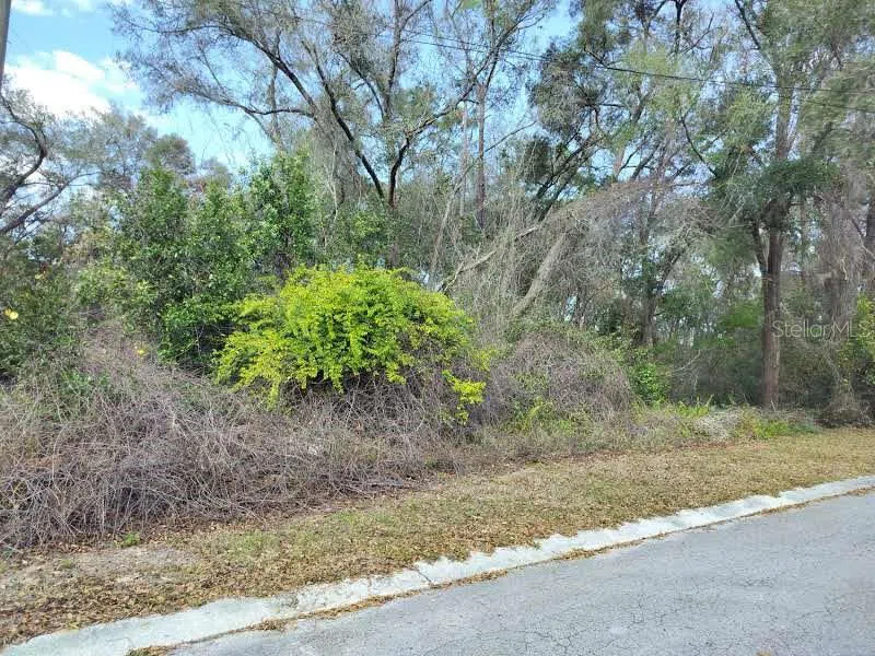 204 ADELPHI STREET Inverness, FL 34452