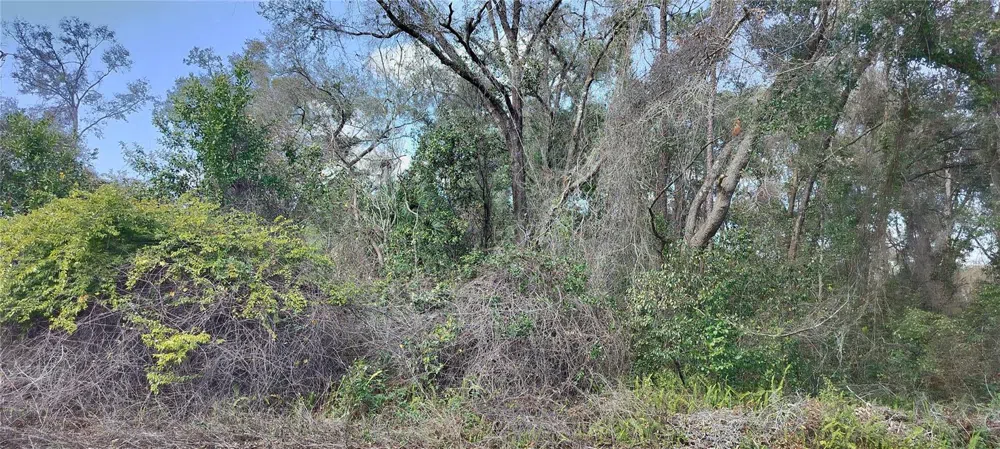 204 ADELPHI STREET Inverness, FL 34452
